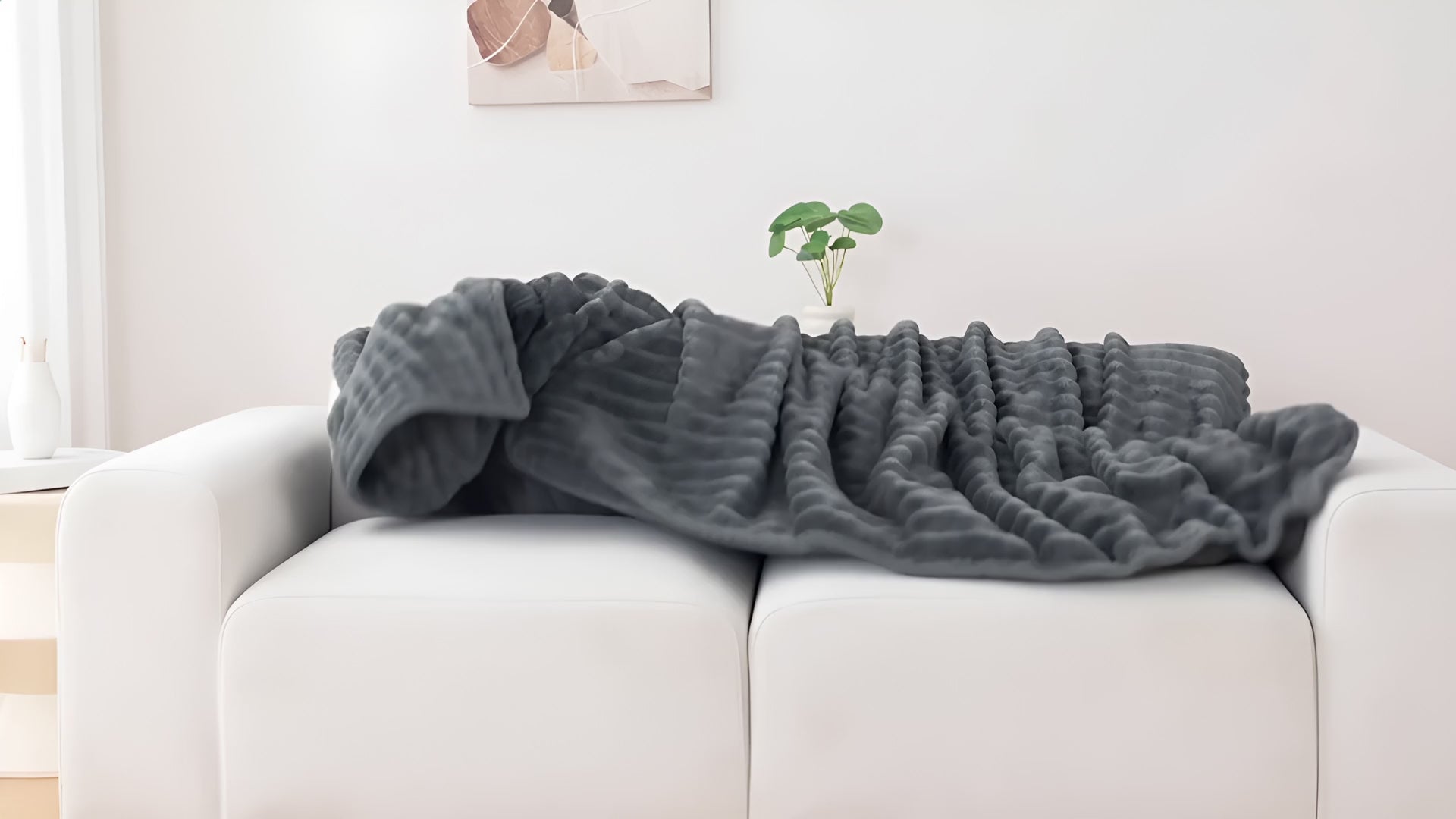 Charger la vidéo : 